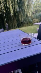 recreatiepark-de-holle-poarte-huren-in-makkum